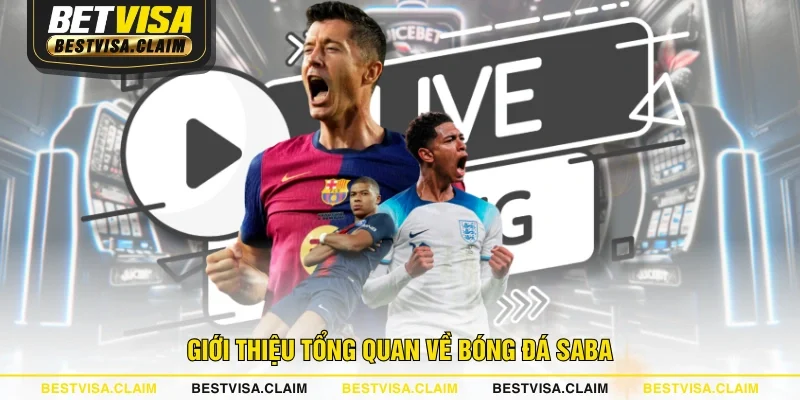 Giới thiệu tổng quan về bóng đá Saba Giới thiệu tổng quan về bóng đá Saba