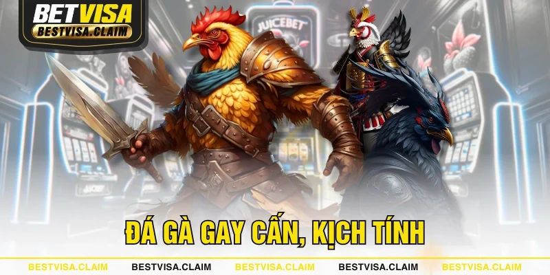 Đá gà gay cấn, kịch tính
